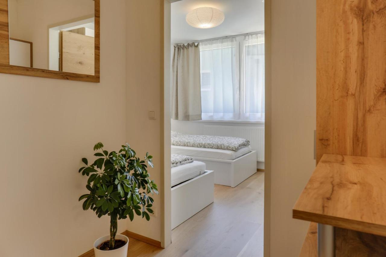 Apartment Habicht Muhlbachl Εξωτερικό φωτογραφία